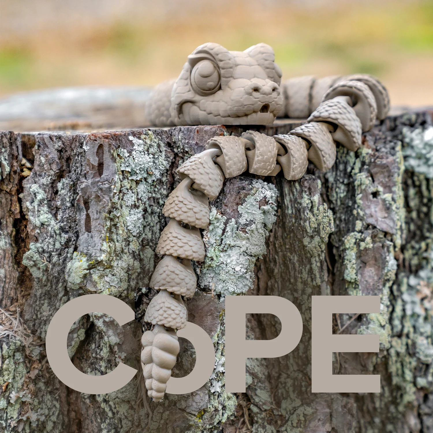 Panchroma™ CoPE - Image 158