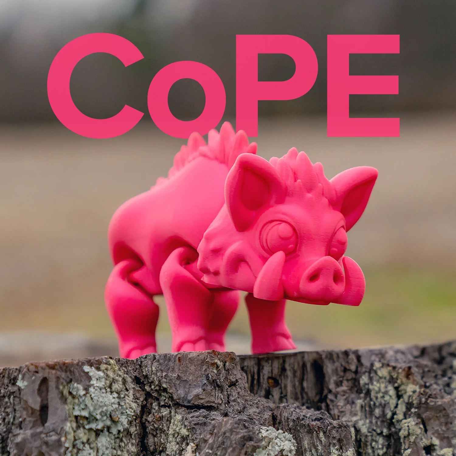 Panchroma™ CoPE - Image 167