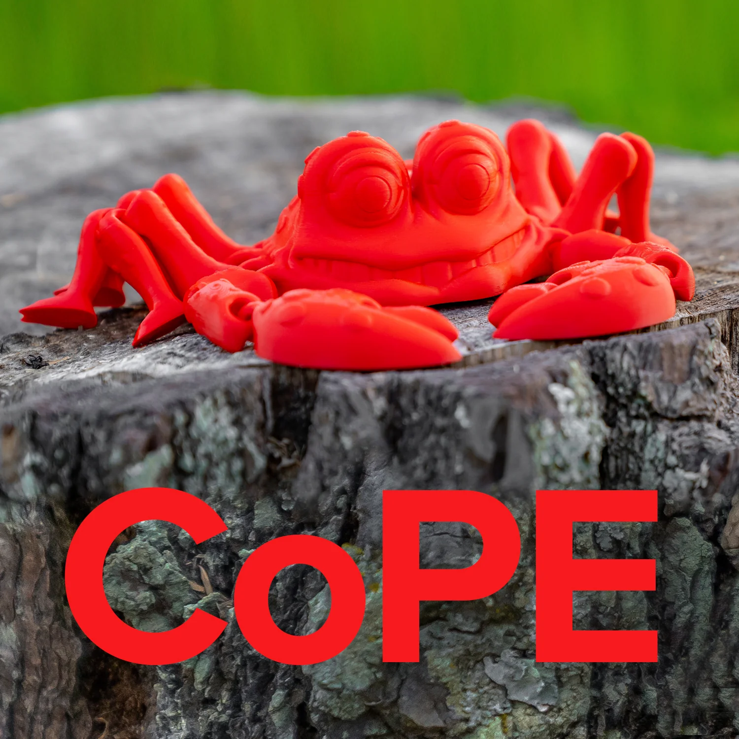 Panchroma™ CoPE - Image 168