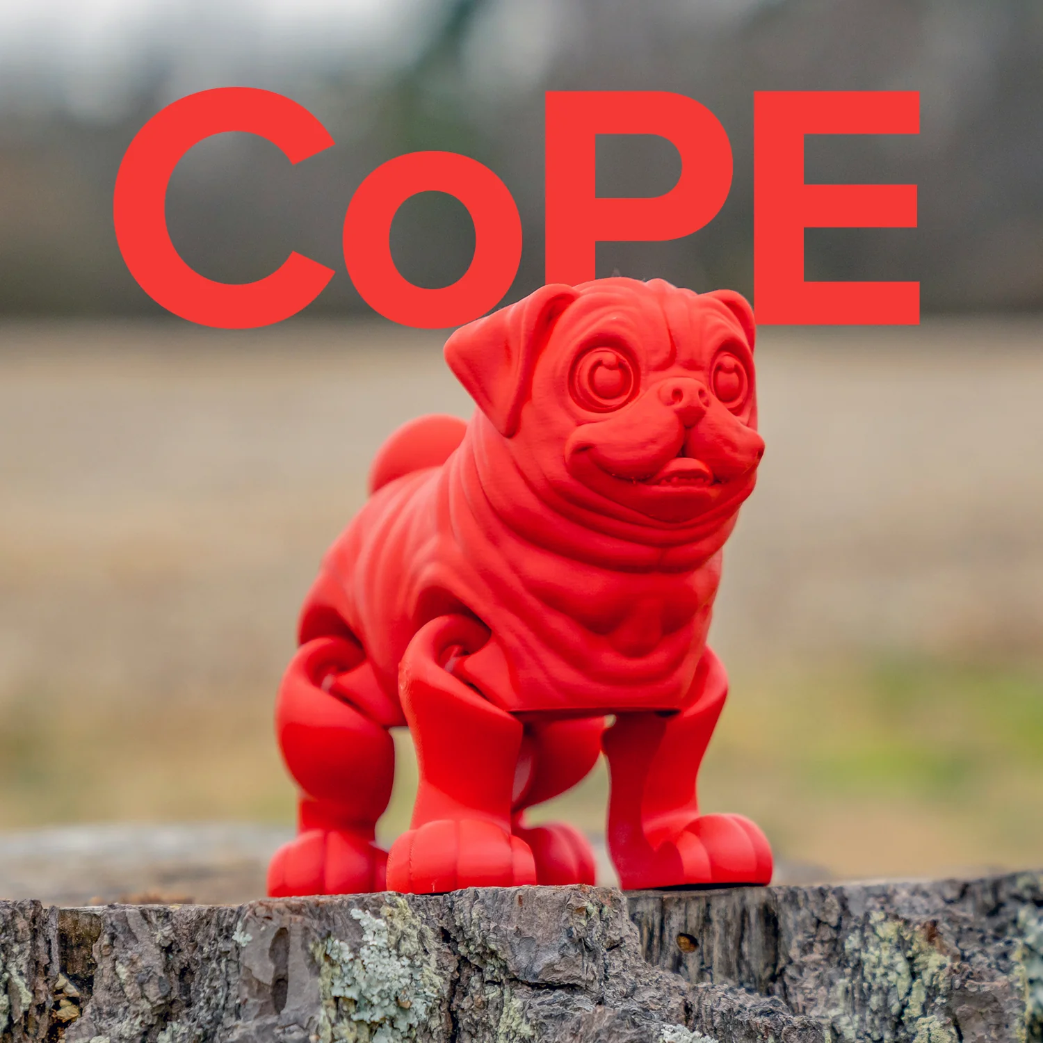 Panchroma™ CoPE - Image 170