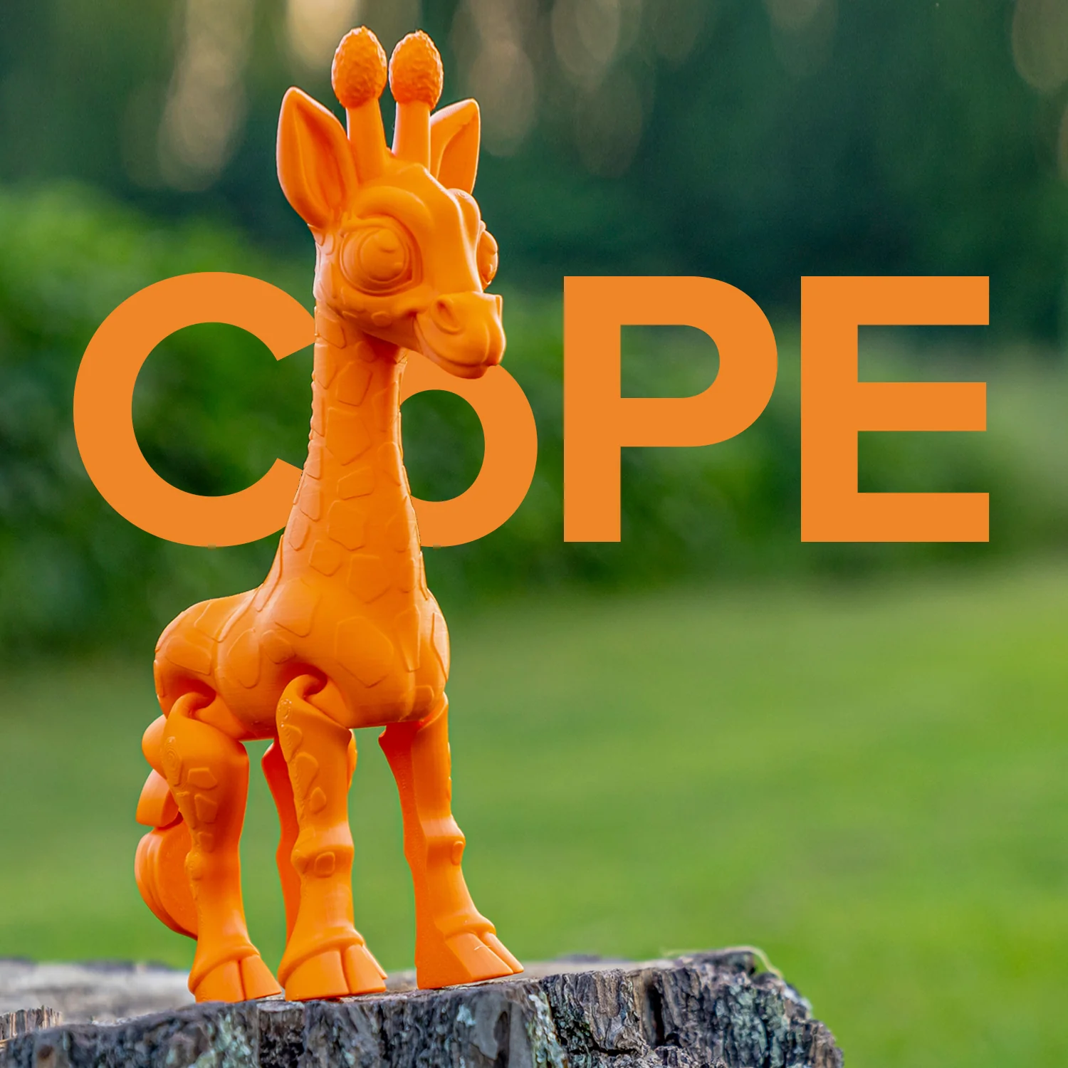 Panchroma™ CoPE - Image 171