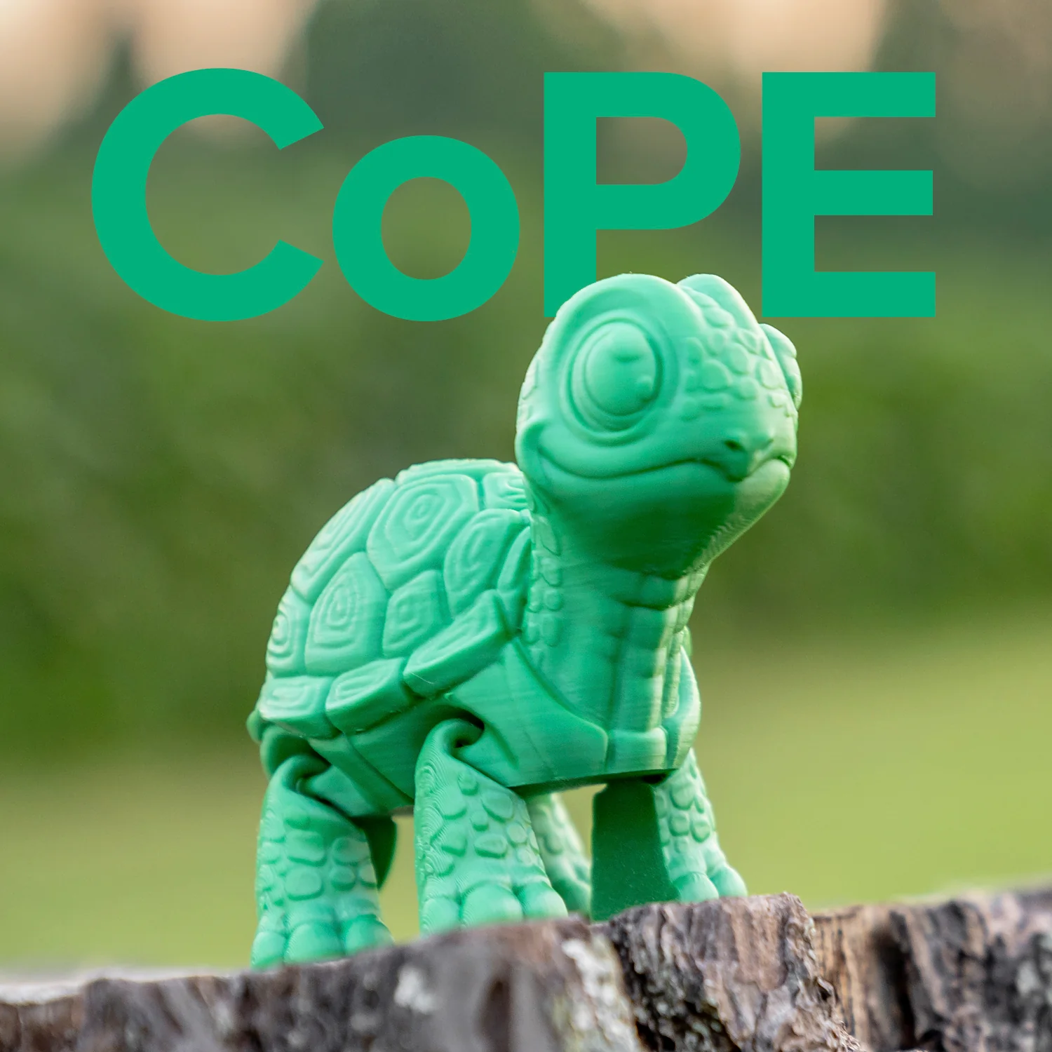 Panchroma™ CoPE - Image 179