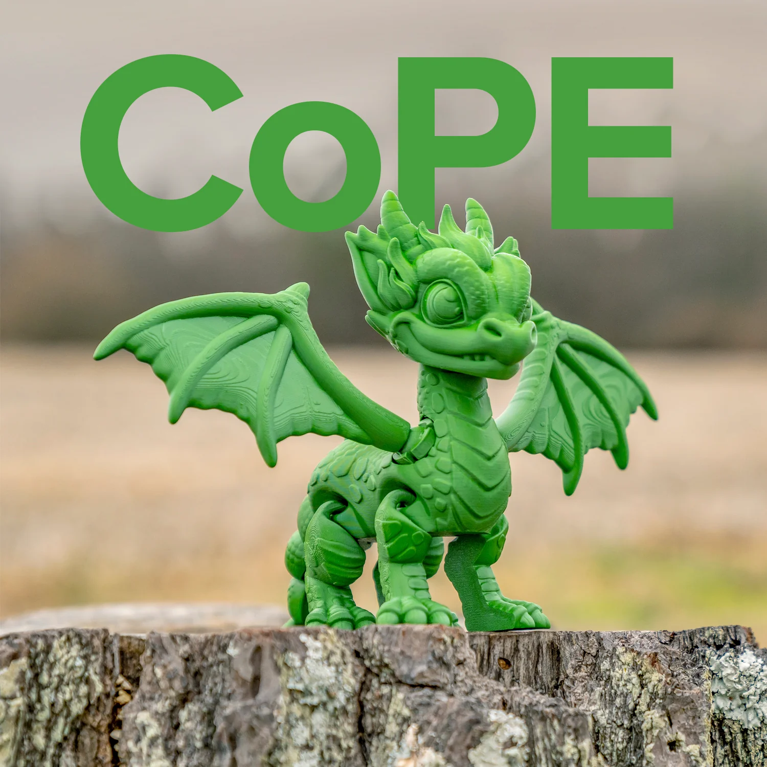 Panchroma™ CoPE - Image 180