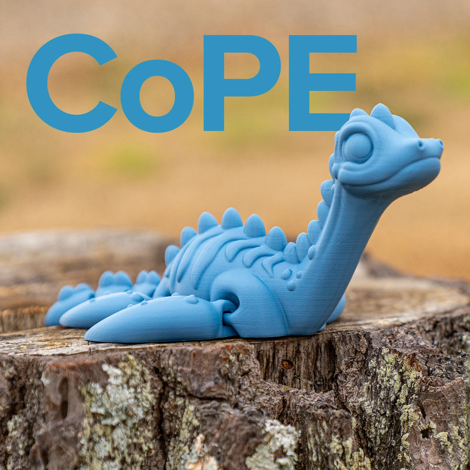 Panchroma™ CoPE - Image 186