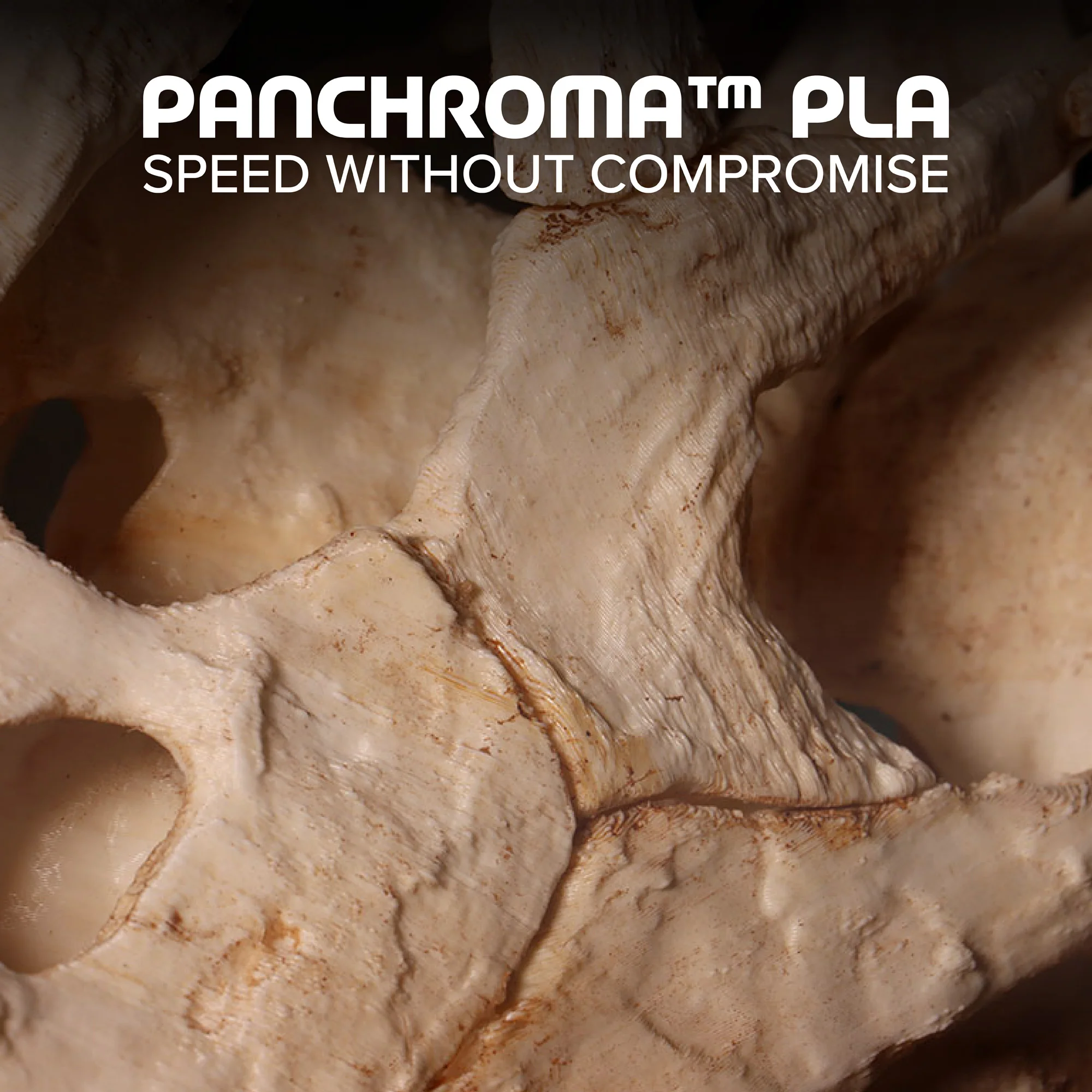 Panchroma™ Basic PLA - Image 59