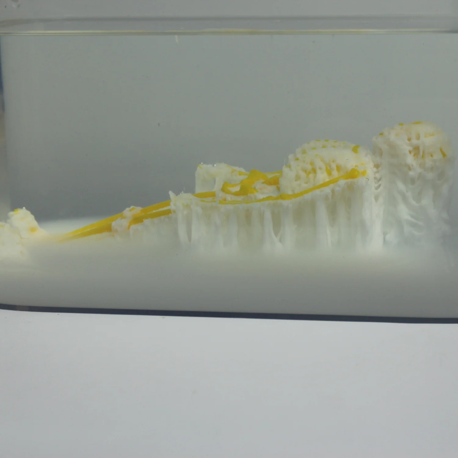 PolyDissolve™ S1 (PVA) - Image 12