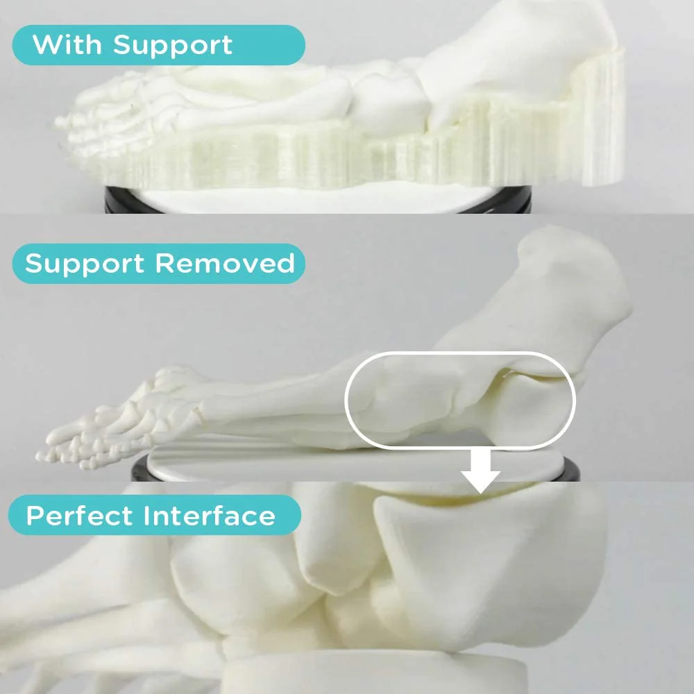 PolyDissolve™ S1 (PVA) - Image 5